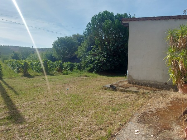 Riferimento SV1029 - Casa Colonica in Vendita a Sovigliana