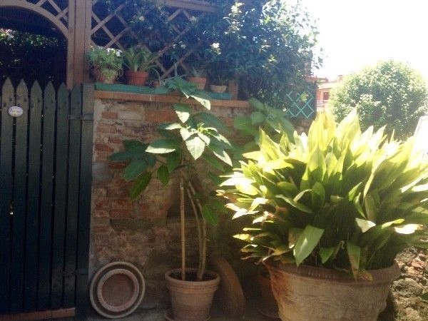 Riferimento BR1024 - Terratetto in Vendita a Empoli