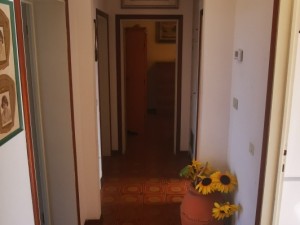 Appartamento in affitto a Rosignano Marittimo (Caletta)