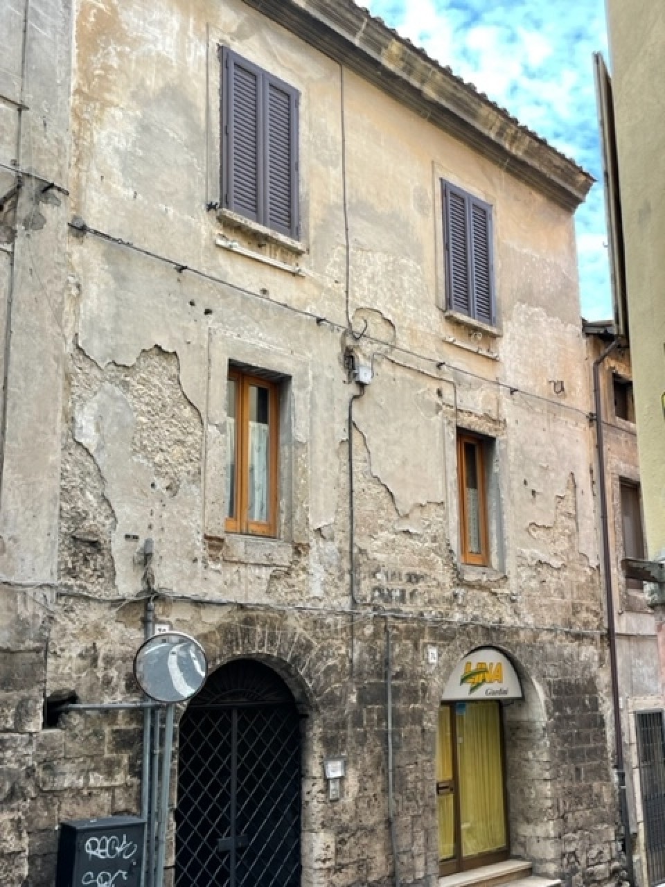 immagine 6
