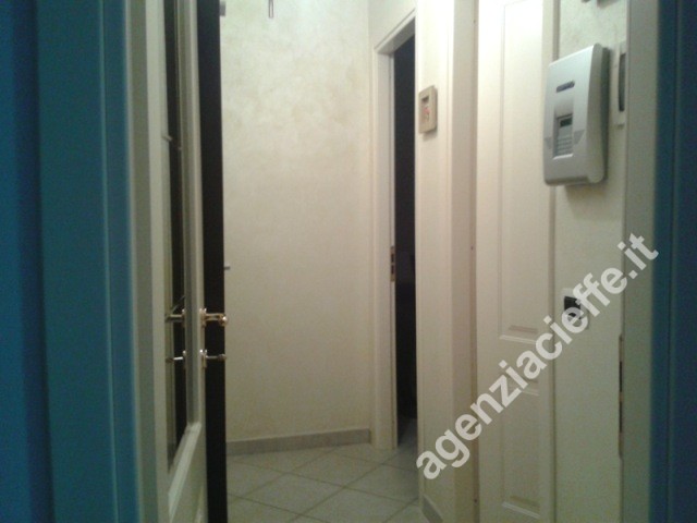 immagine 7
