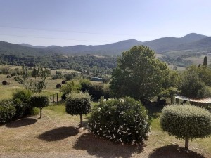 Rustico in vendita a Montecatini Val Di Cecina (La Sassa)