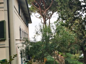 Appartamento in vendita a Rosignano Marittimo (Chioma)