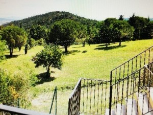 Villa in vendita a Rosignano Marittimo (Gabbro)