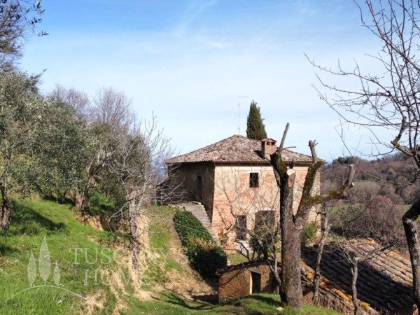 Reference VC529 - Farmstead for Sale in Montepulciano