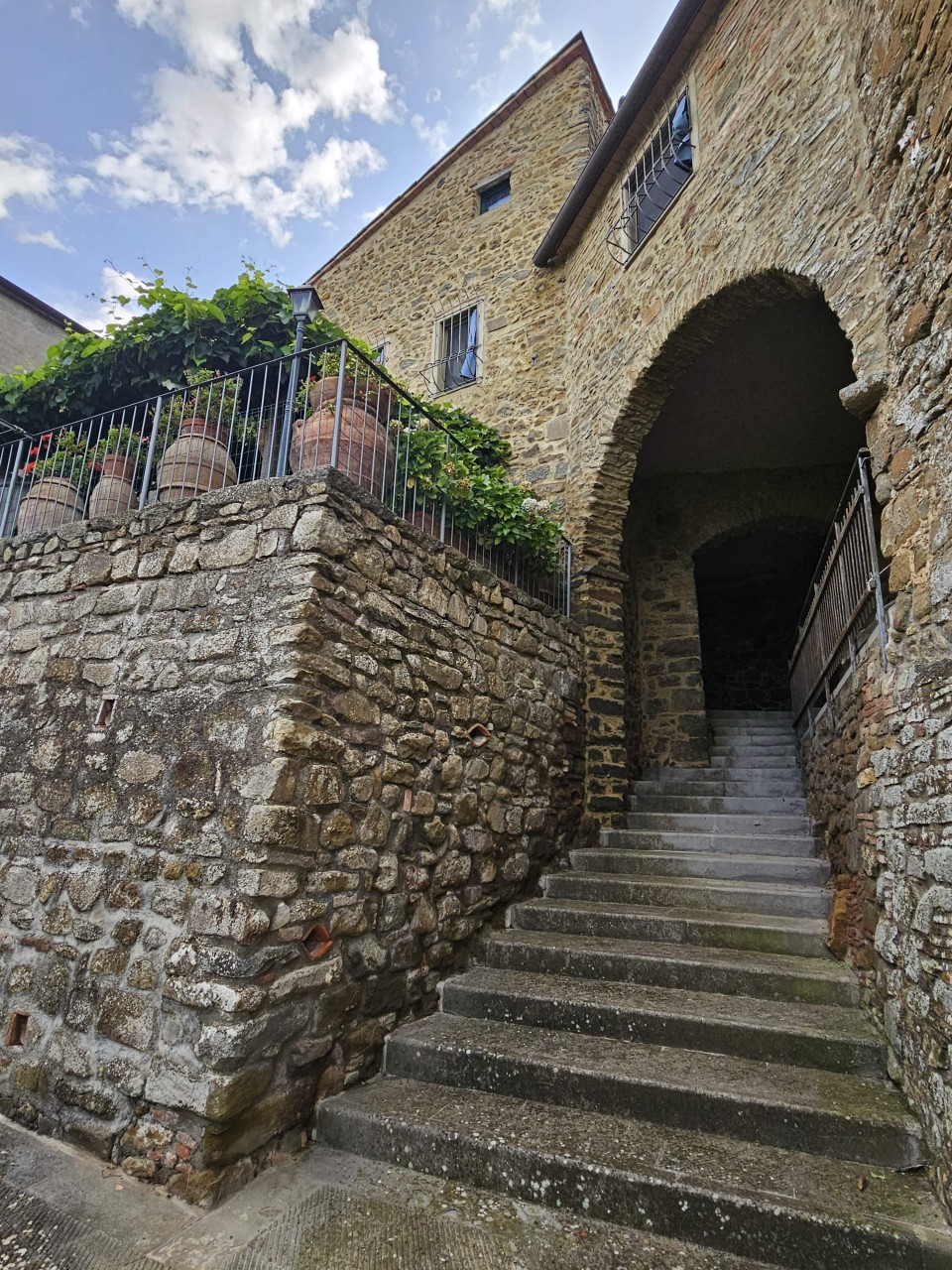 immagine 7