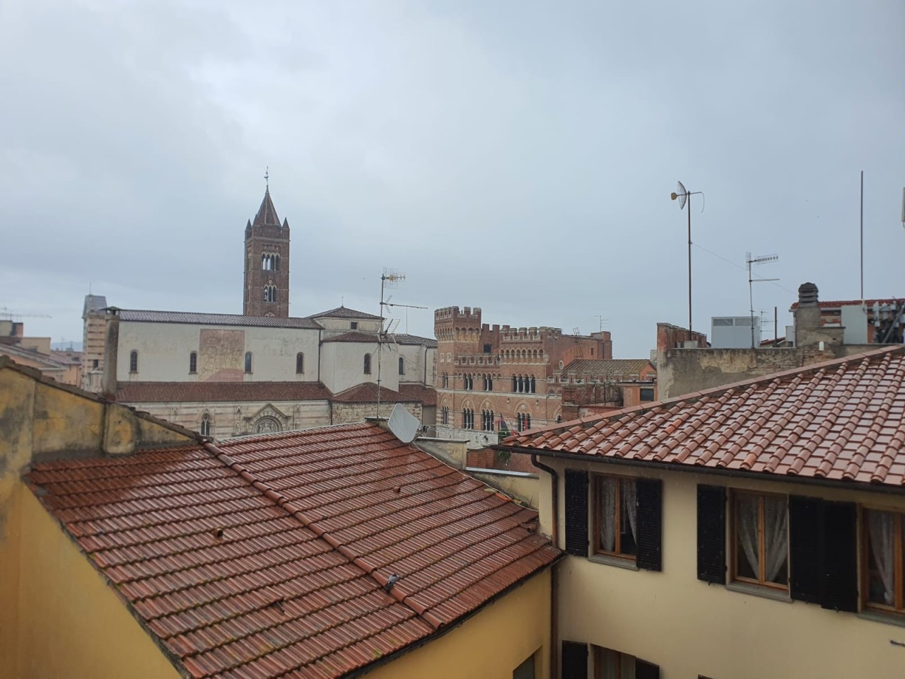 immagine 7