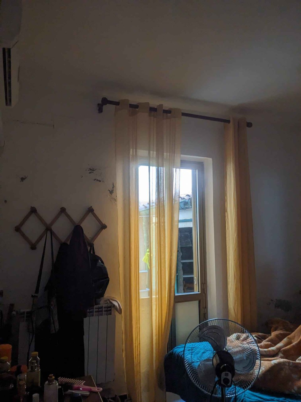 immagine 6