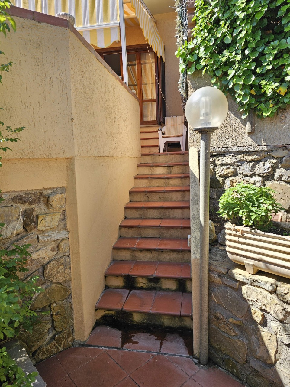 immagine 5