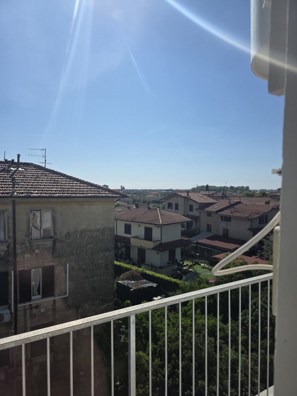 Immagine 2