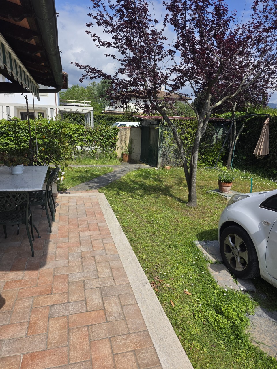 Altro in Vendita