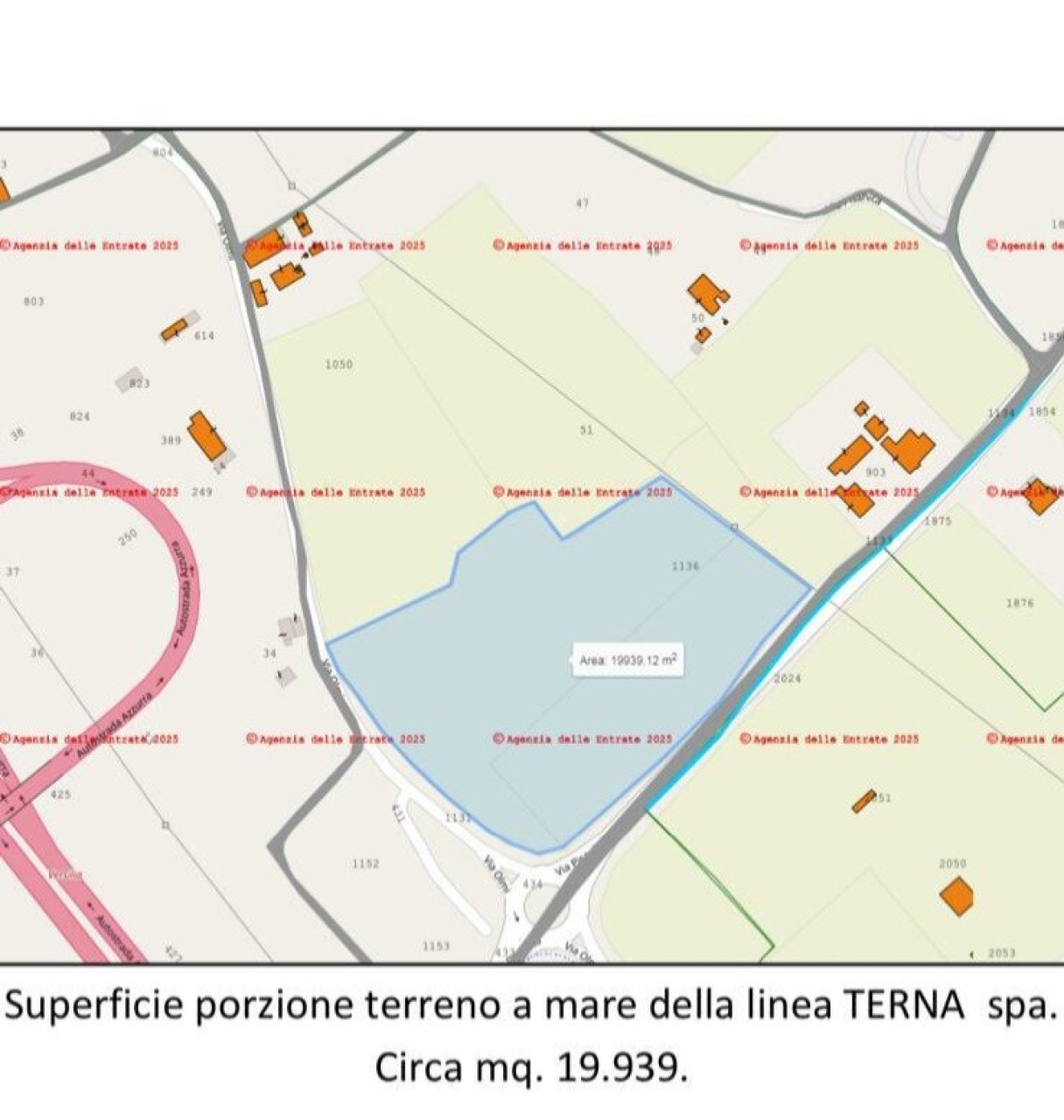 Altro in Vendita