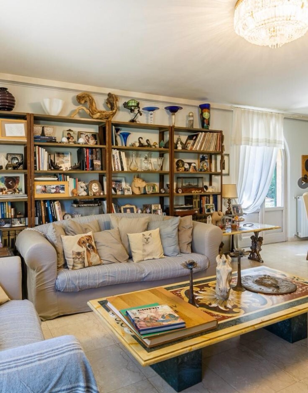 Immagine 7