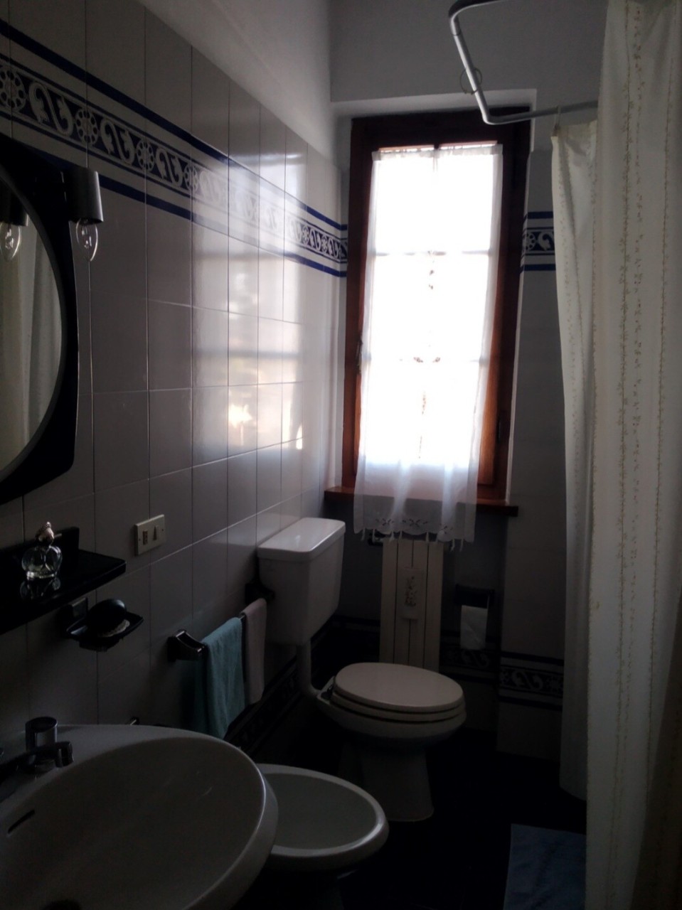 Immagine 7