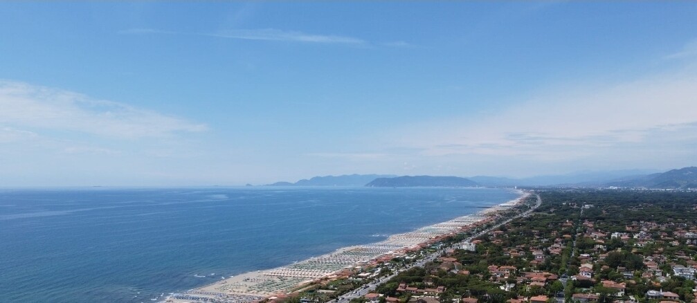 Altro in Vendita
