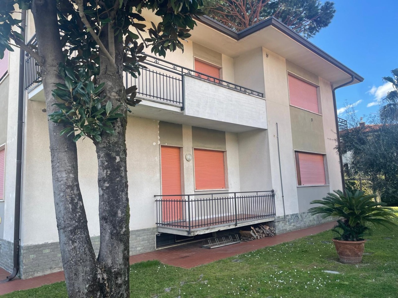 Altro in Vendita