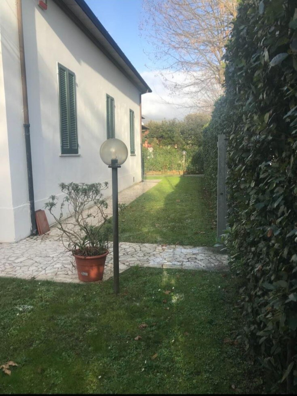 altro-in-affitto-a-forte-dei-marmi