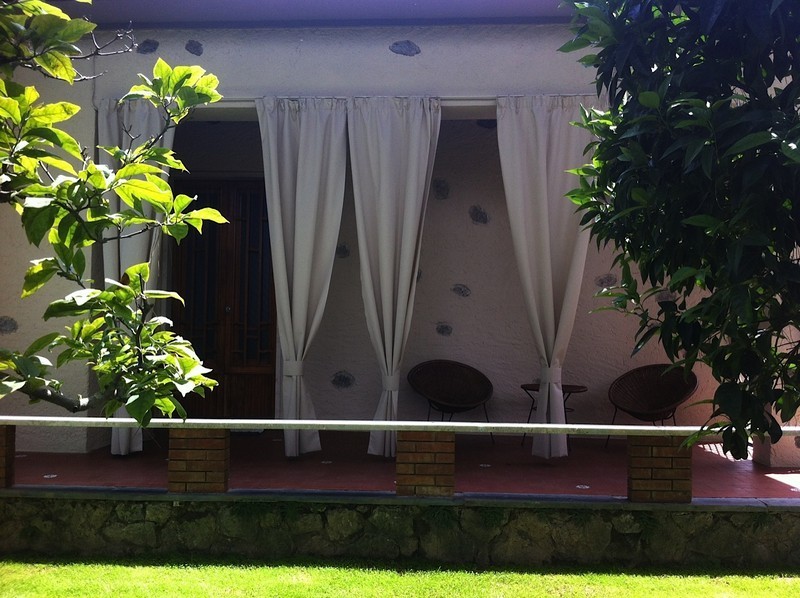 Immagine 7