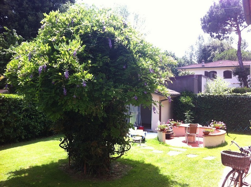 Immagine 4