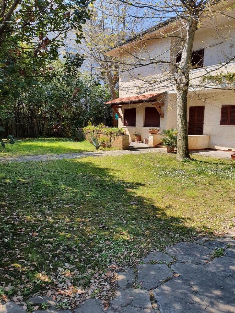 Altro in Vendita
