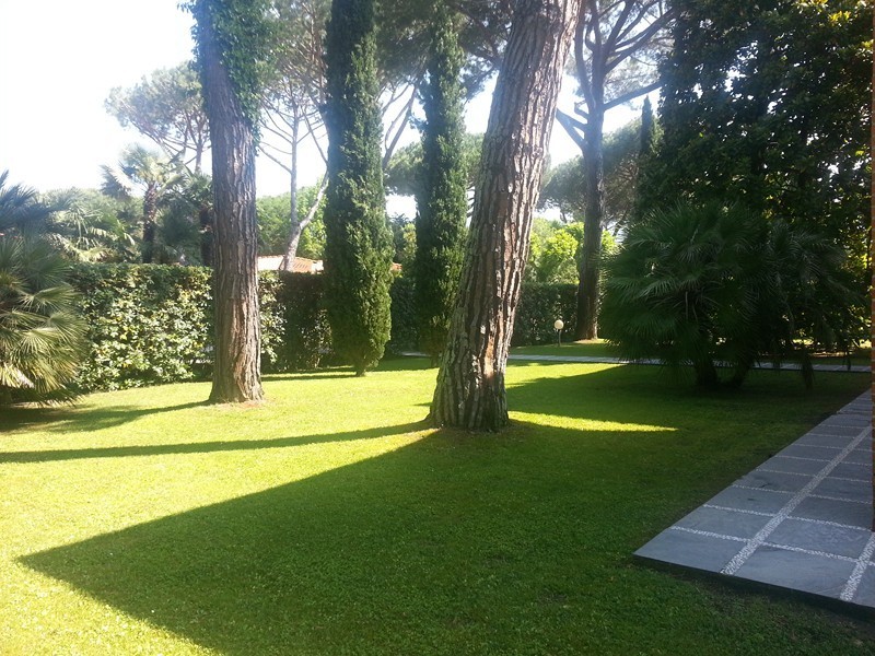 Altro in Vendita