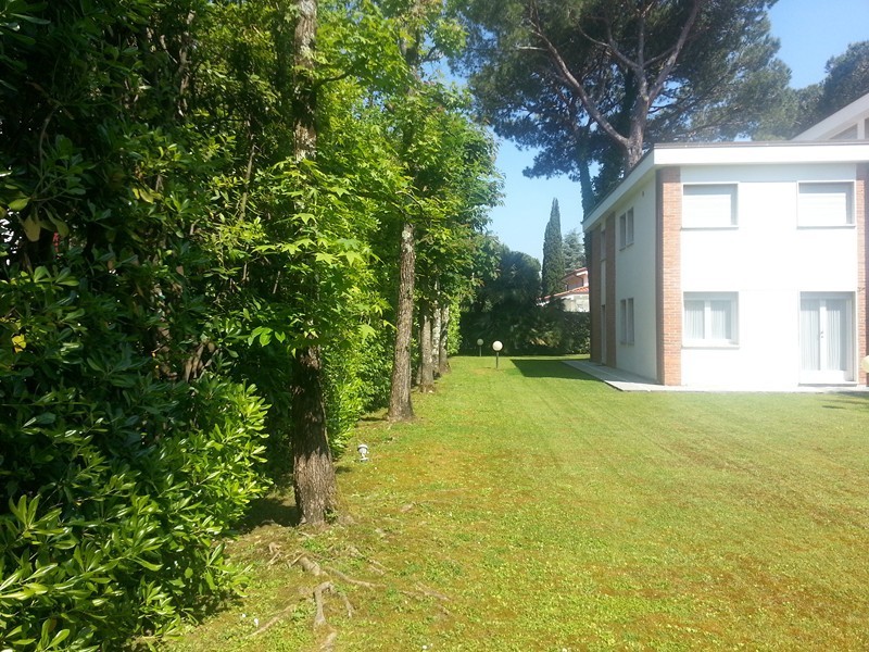 Immagine 4