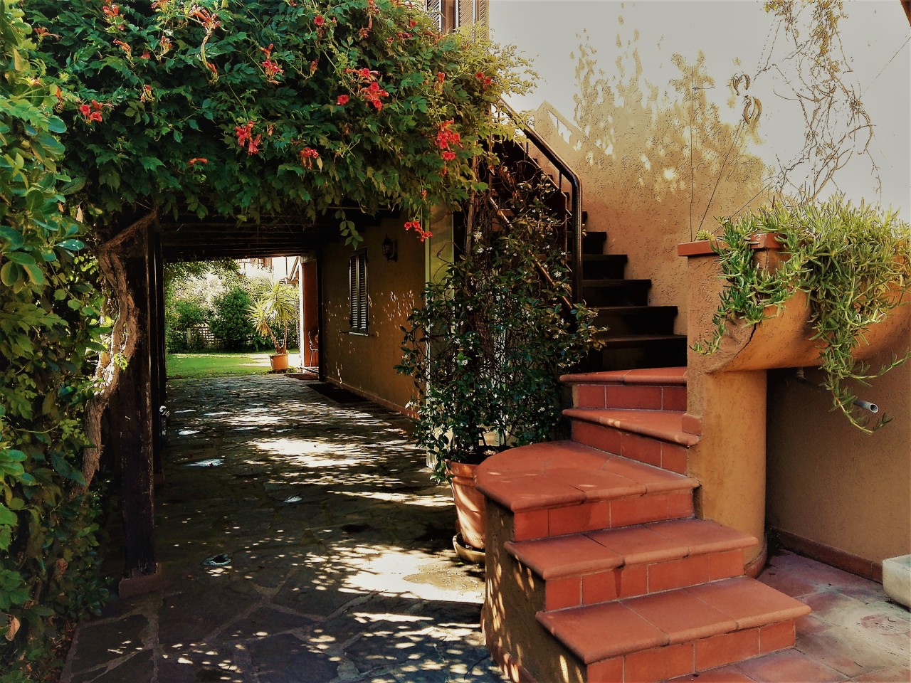 Immagine 5