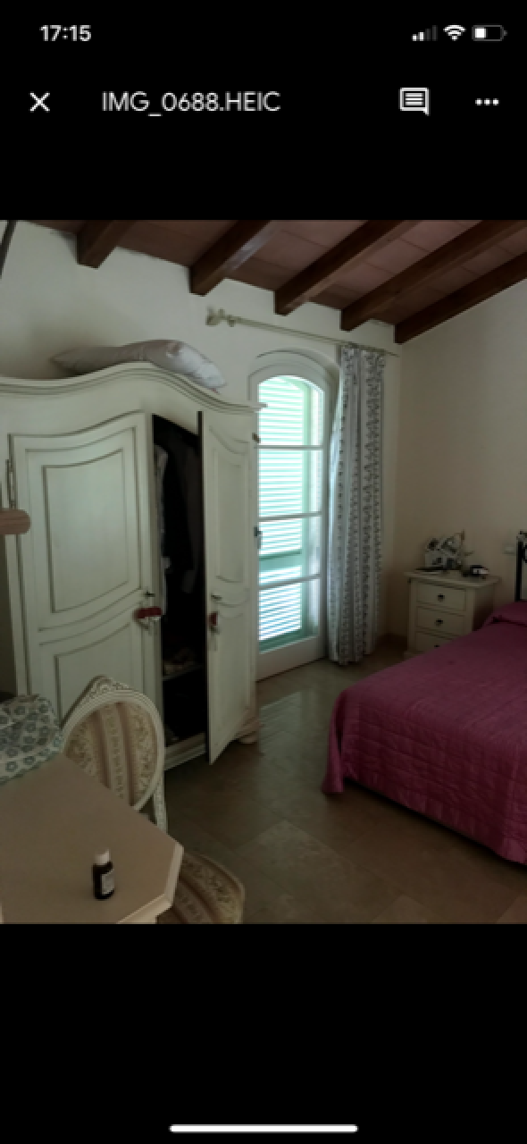 Immagine 6