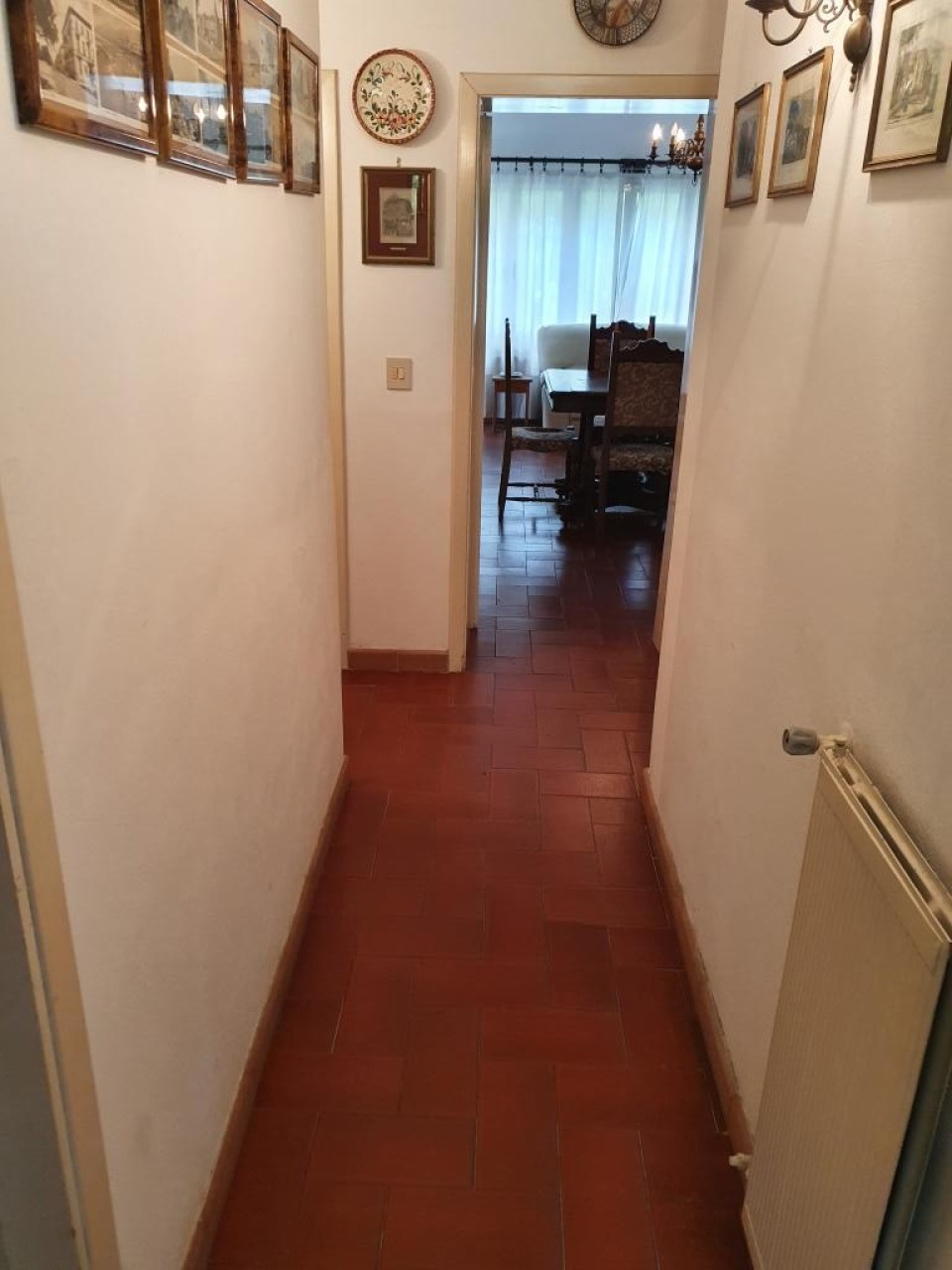 Immagine 3