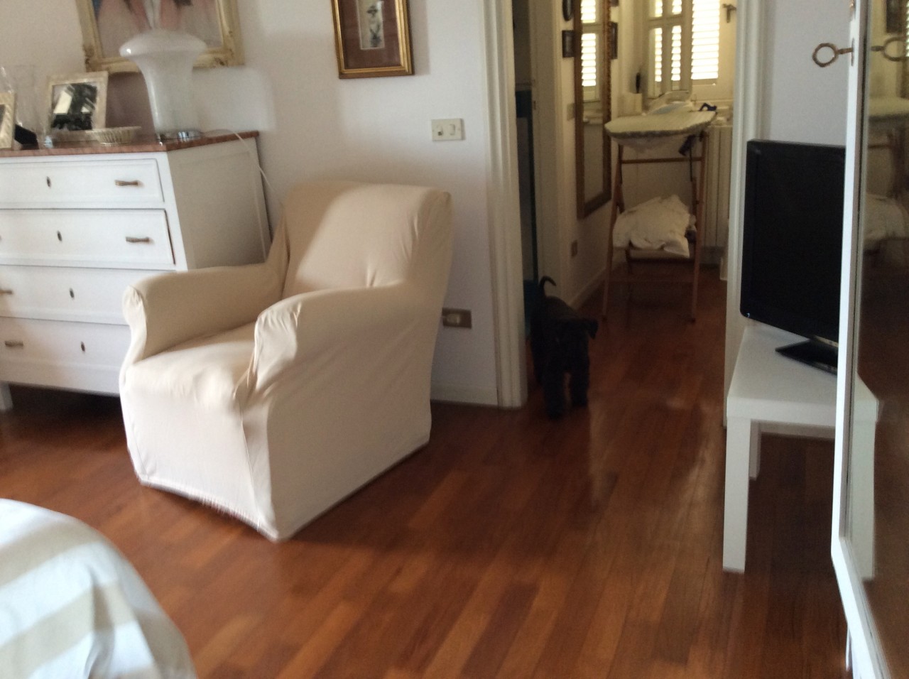 Immagine 3