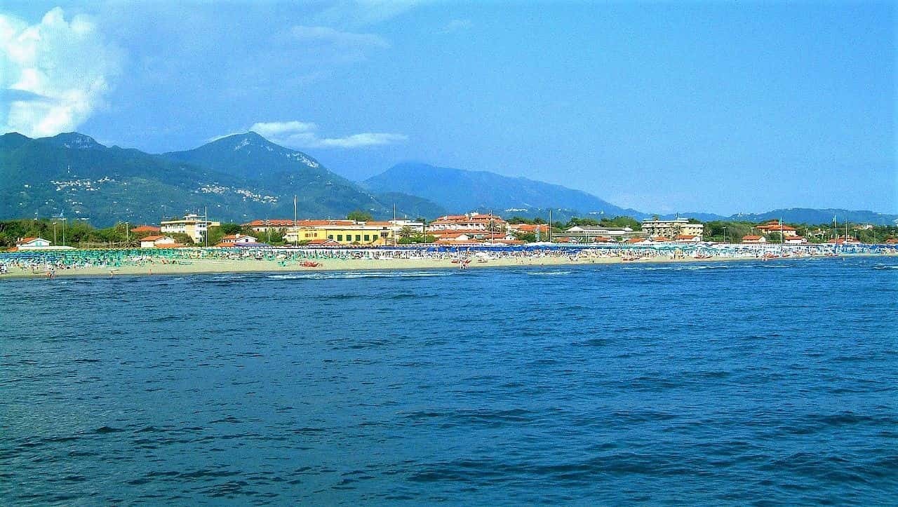 Altro in Vendita
