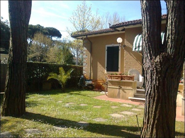 Immagine 6