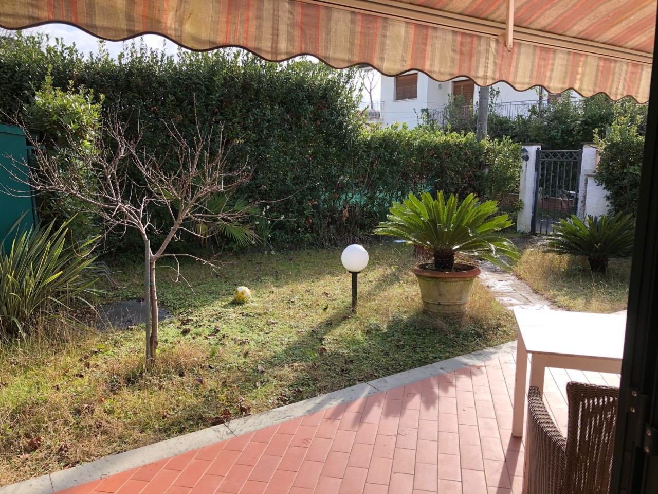 Immagine 2