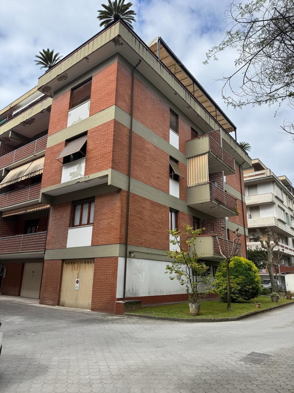 Altro in Vendita