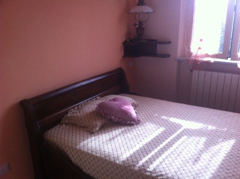immagine 7