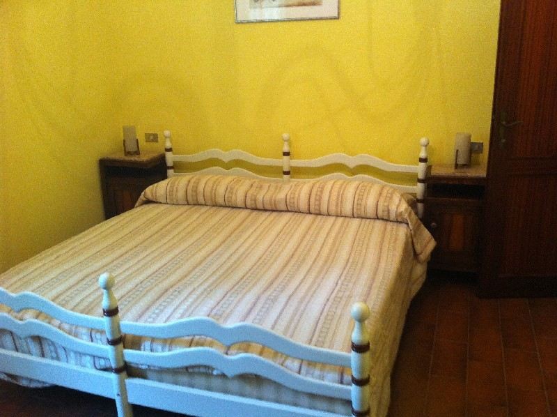 immagine 7