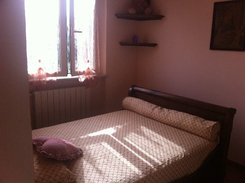immagine 7