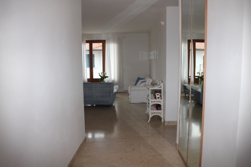 immagine 7