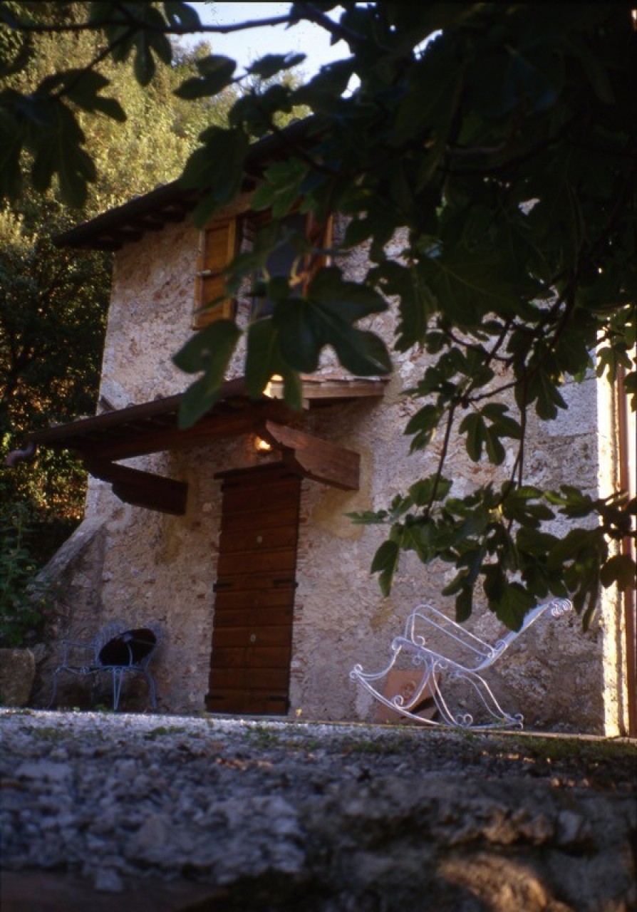 immagine 5