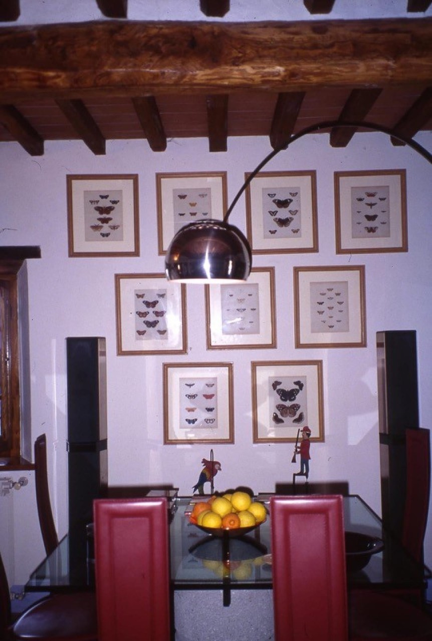 immagine 7