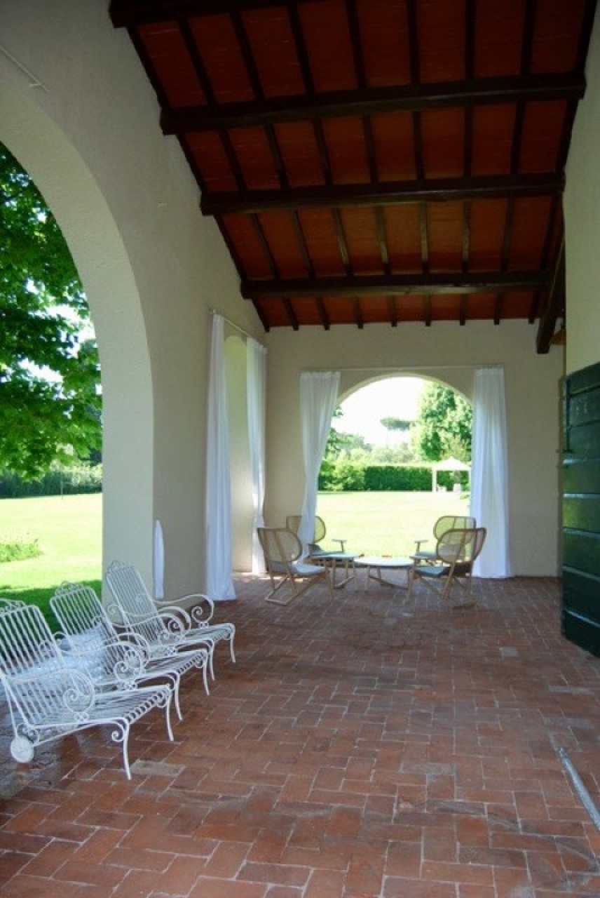 immagine 6