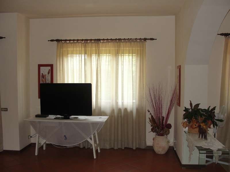 immagine 7