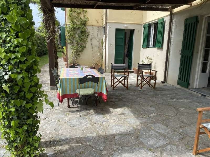immagine 7