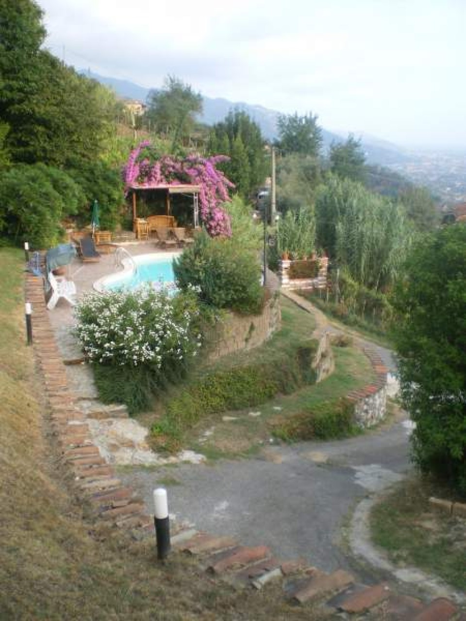 immagine 5