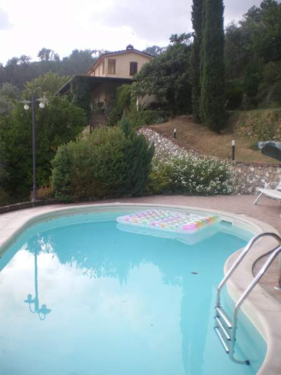 immagine 7