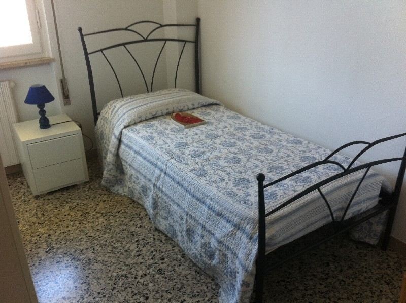 immagine 7