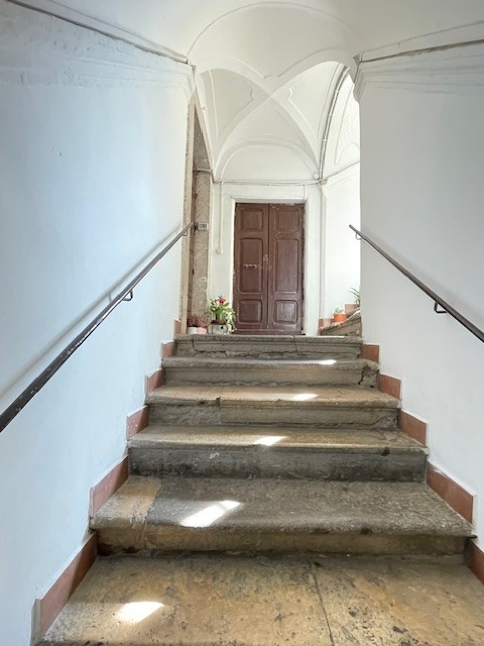 immagine 7