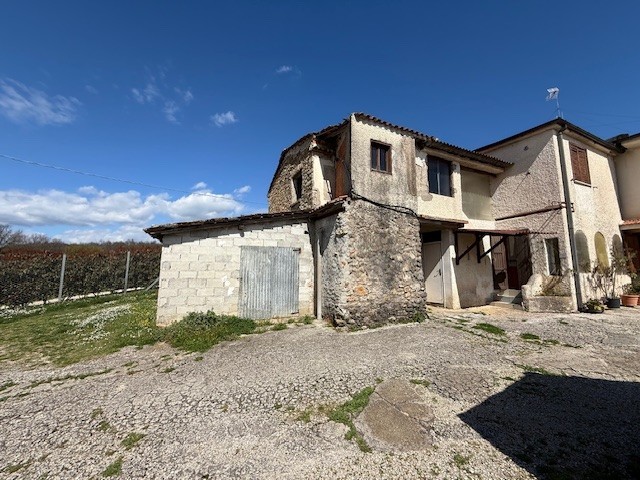 immagine 6