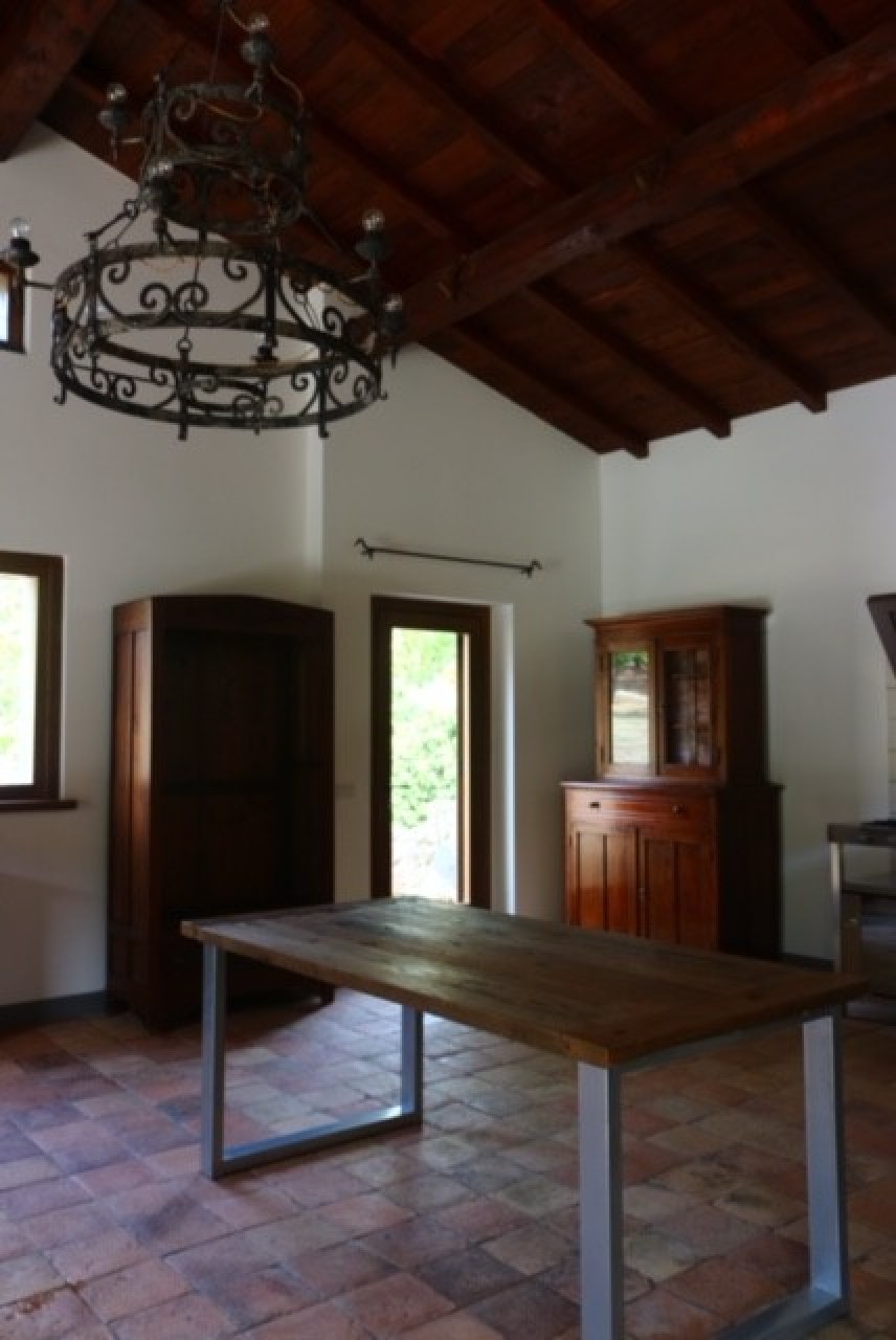 immagine 7