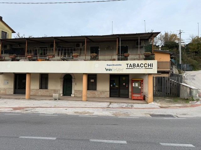 Altro in Affitto